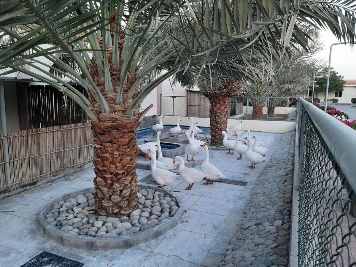 Asahalah Farm Pool Villas Seeb Extérieur photo