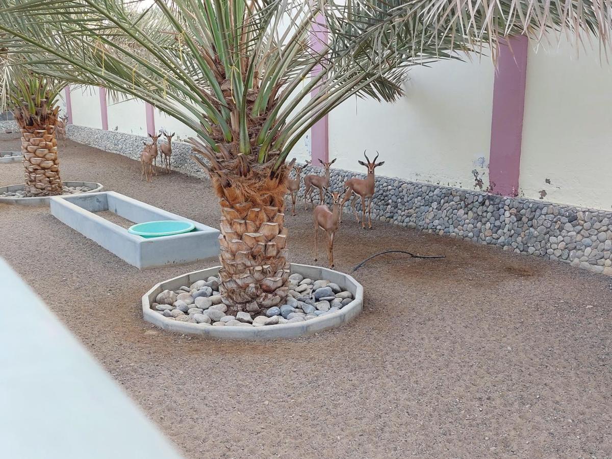 Asahalah Farm Pool Villas Seeb Extérieur photo